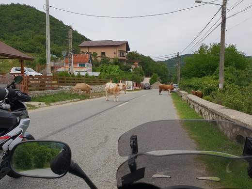 20180626_163335.jpg