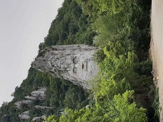 20180626_163916.jpg