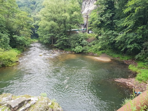 20180627_100950.jpg