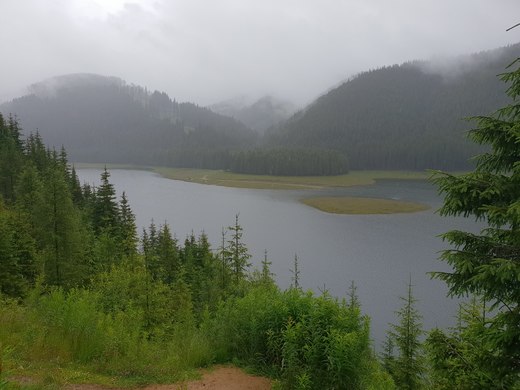 20180627_155045.jpg