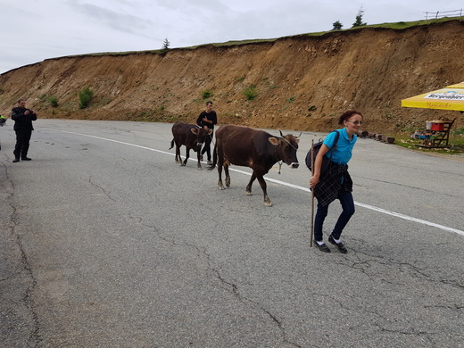 20180629_102127.jpg