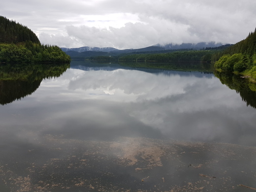 20180629_125701.jpg