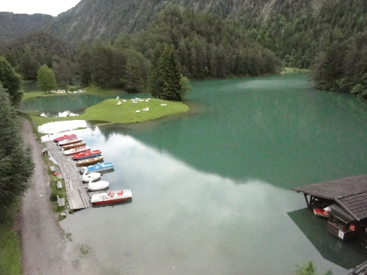 DSC08075.JPG