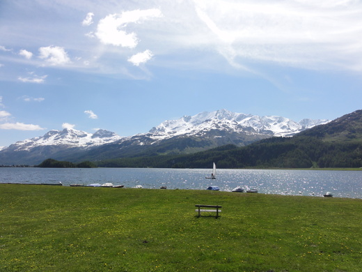 DSC08120.JPG