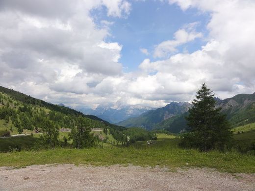 img00044.jpg
