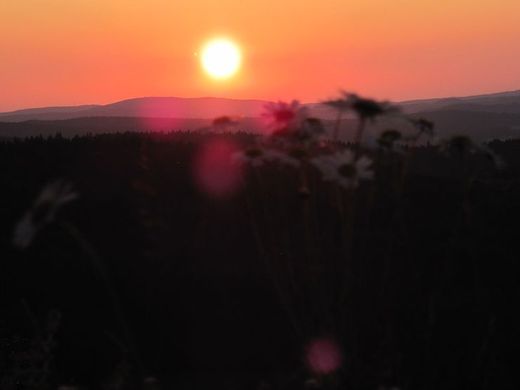 img00071.jpg